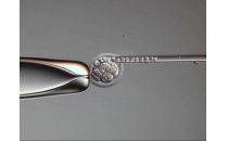 显微操作解决方案